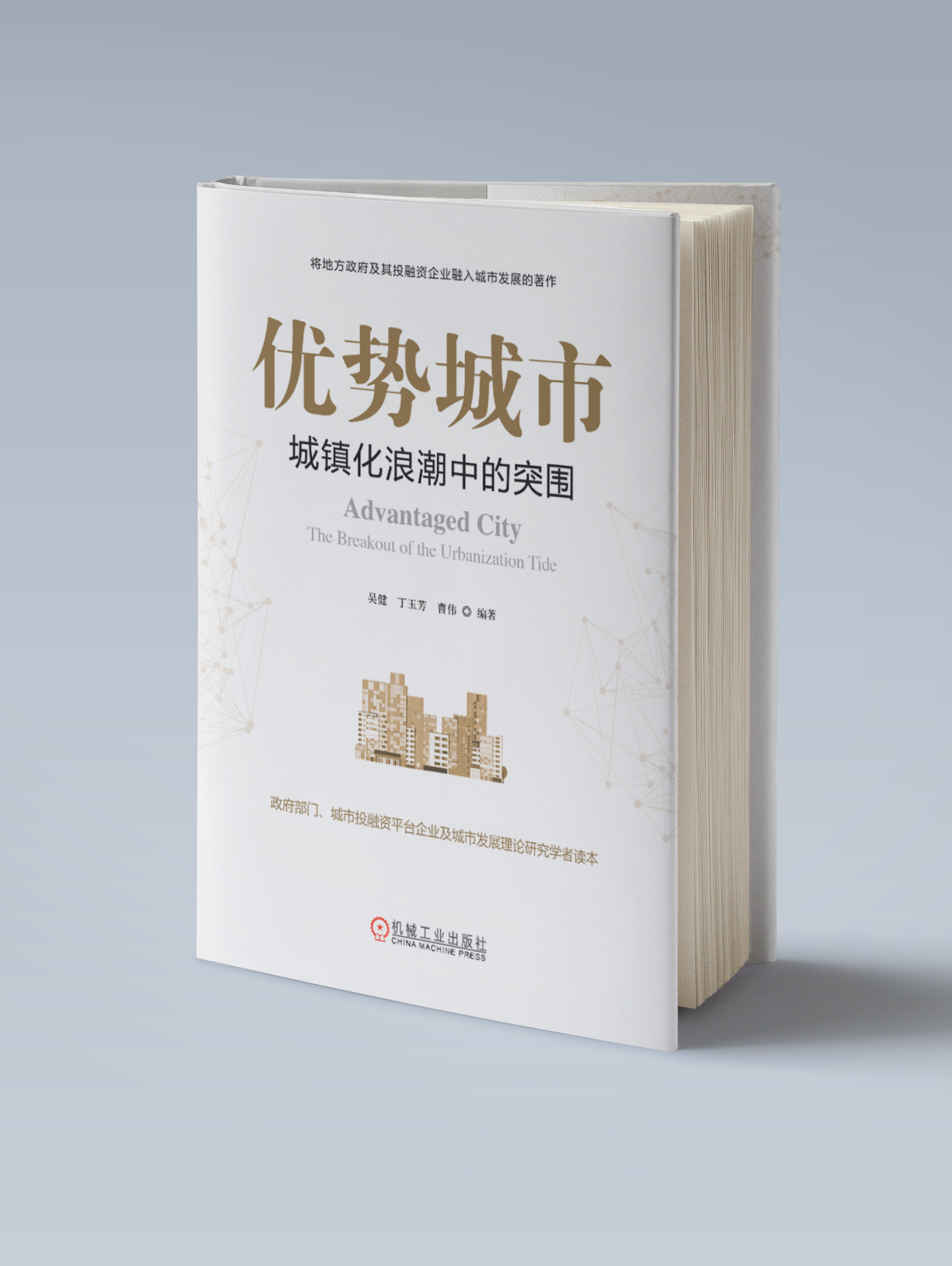 优势城市：城镇化浪潮中的突围