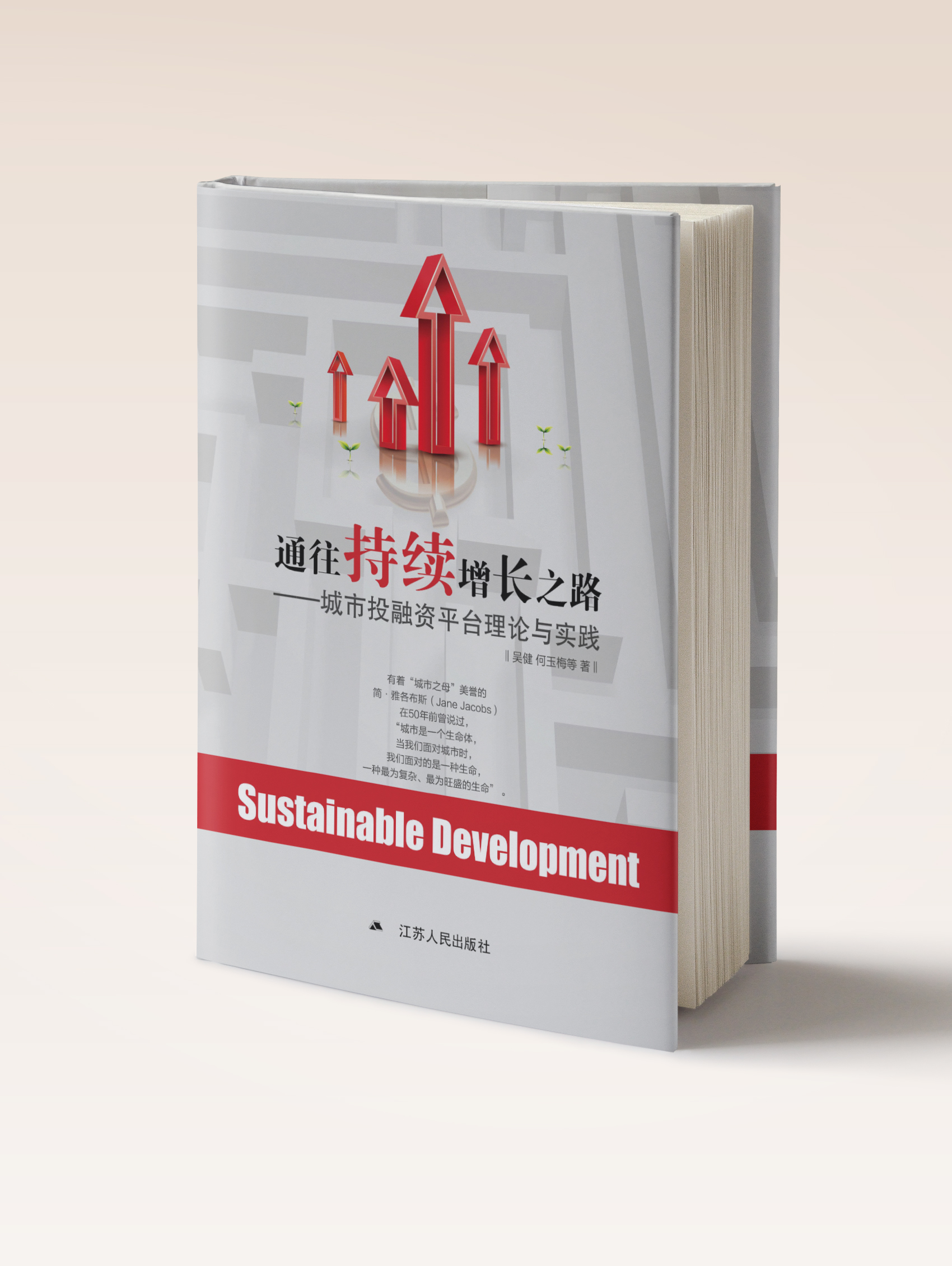 通往持续增长之路——城市投融资平台理论与实践