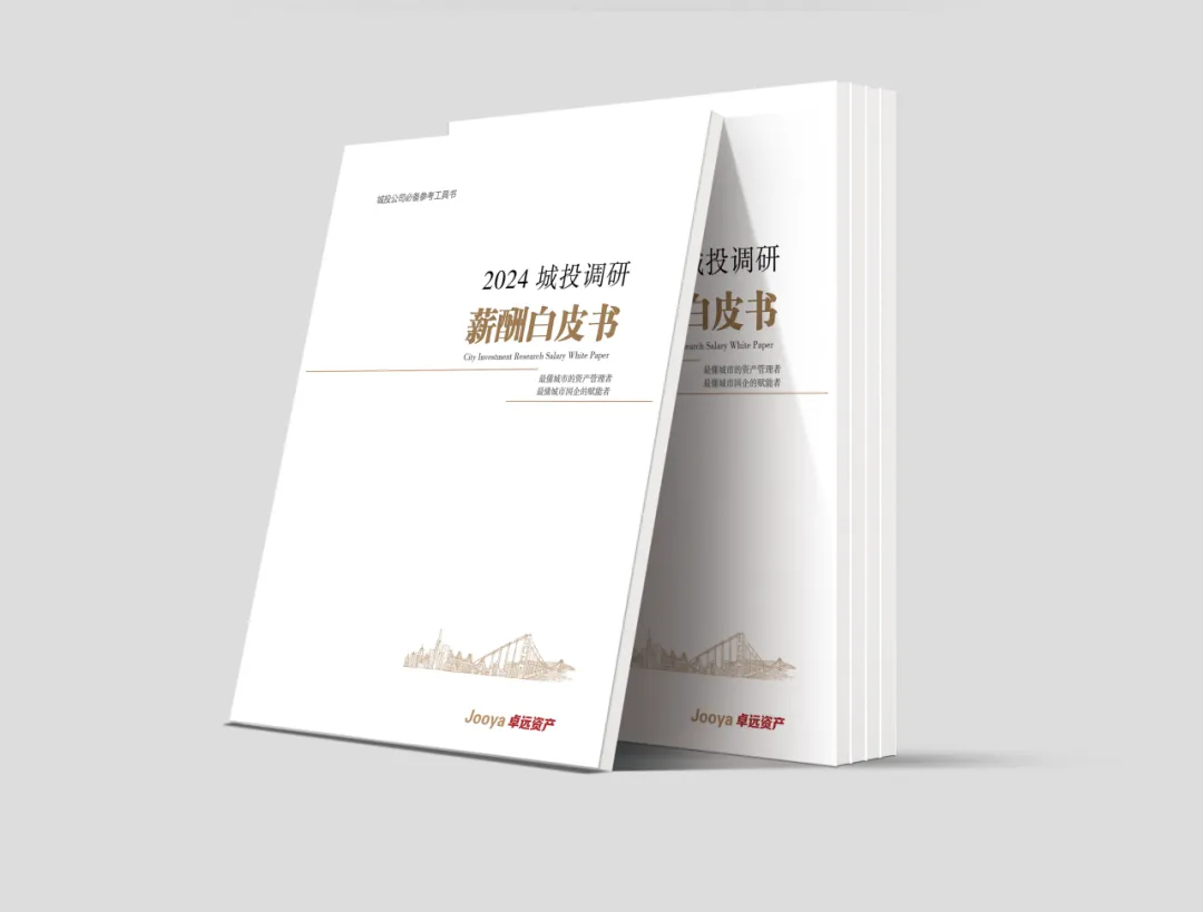 南京卓远展出《2024城投调研-薪酬白皮书》